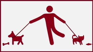 A person being pulled in two directions by a cat on one side and a dog on the other.